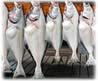 Fishing license tax